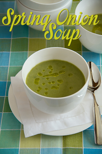 Spring onion soup