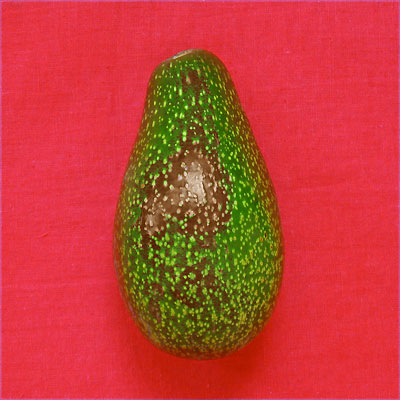 avocado from Sippity Sup