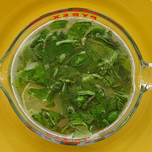 steeping basil for simple syrup