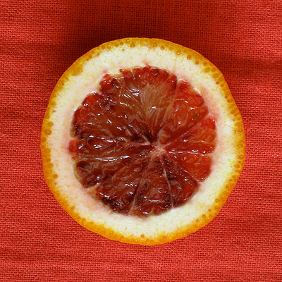 blood orange slice