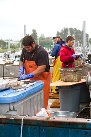 commercial fishermen in Alaska