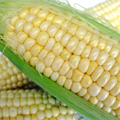 corn on the cob