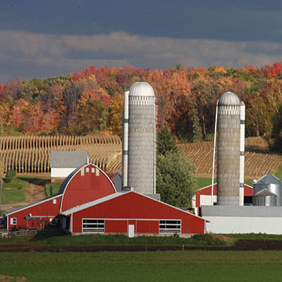 WI Dairy Farm