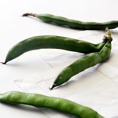 Favas Beans in Pod