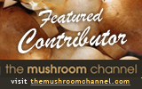 mushroom channel featured contributor