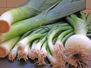 leeks, scallions and spring onions