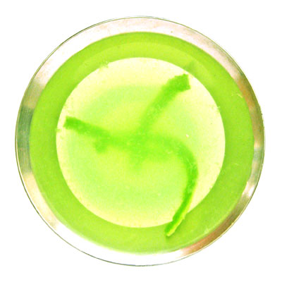 sippitysup's lime gimlet cocktail