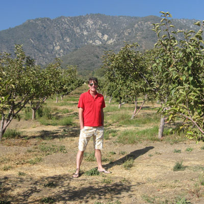 sippitysup in an orchard