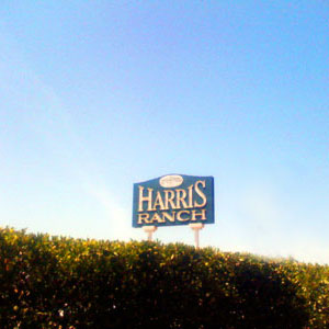 Harris Ranch Sign on I-5