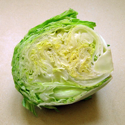 iceberg lettuce