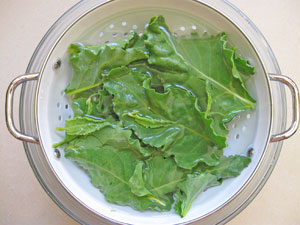 how to wash beet greens