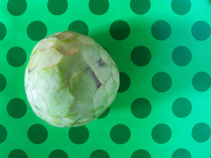 cherimoya fruit