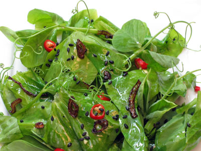 asian saald with pea tendrils or shoots and chili