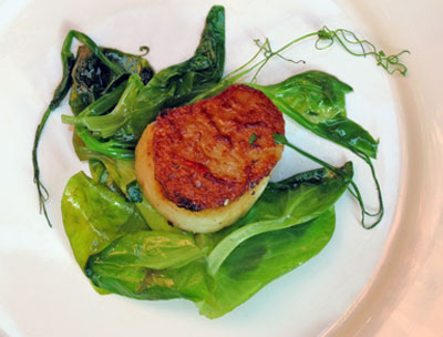 a perfect seared sea scallop