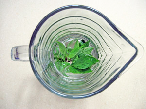 thai basil steeped in vodka