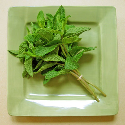 spearmint on a plate