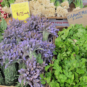 lavender from Ojai