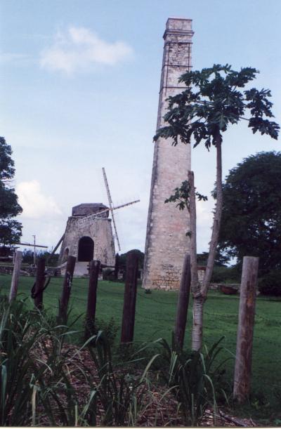 sugar making