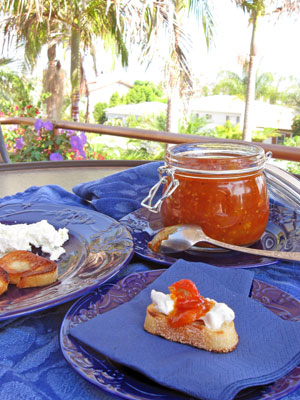 san diego patio with tomato jam