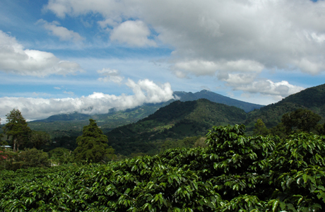 volcan baru