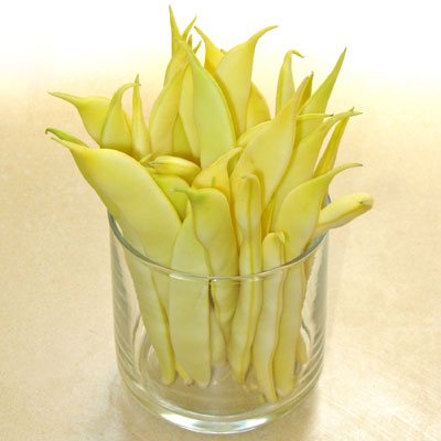 wax beans from the farmers market